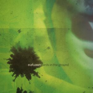 Birds in the Ground -White Vinyl-