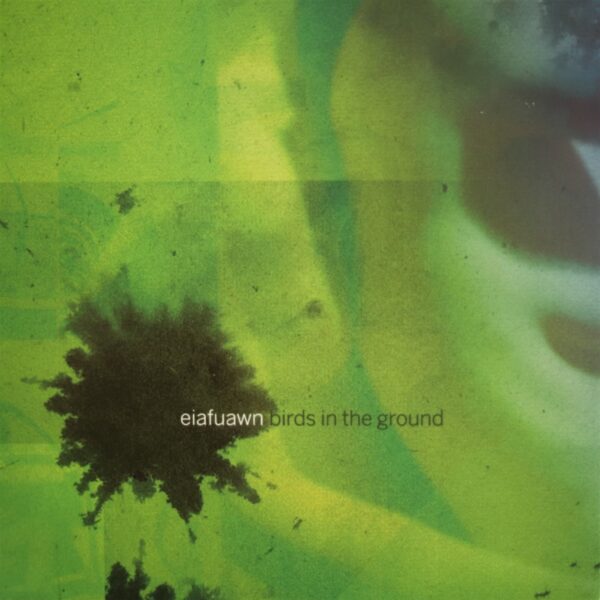 Birds in the Ground -White Vinyl-
