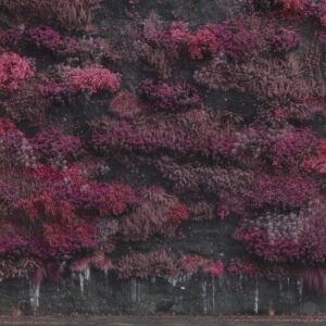 Even In Arcadia (CD)