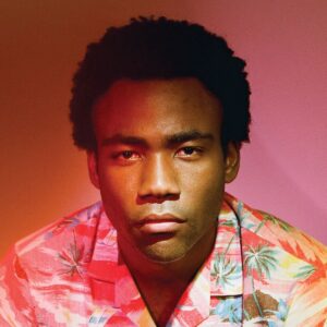 Because The Internet (CD)
