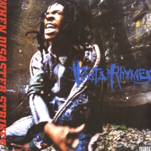 When Disaster Strikes...