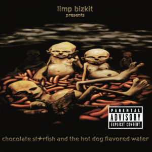 Chocolate Starfish & The Hotdog Flavoured Water (CD)