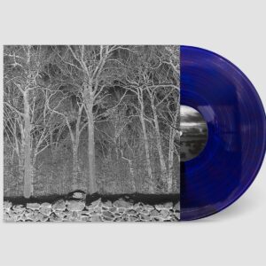 SUNSHINE AND BALANCE BEAMS (Transparent Col Vinyl)
