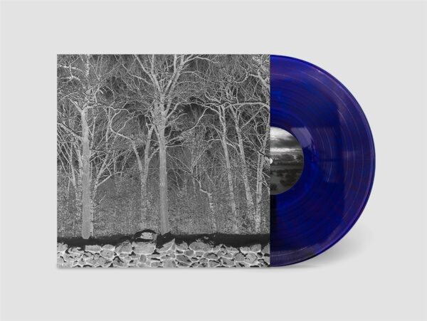 SUNSHINE AND BALANCE BEAMS (Transparent Col Vinyl)