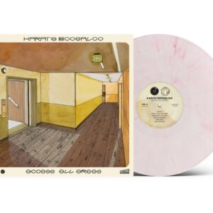 ACCESS ALL AREAS (Pastel Pink Vinyl)