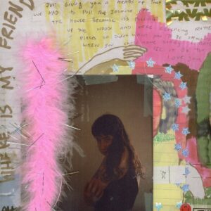 I WAS TRYING TO DESCRIBE YOU TO SOMEONE (Color Vinyl)