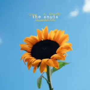 Joy In Short Moments (Limited Yellow Marble LP)