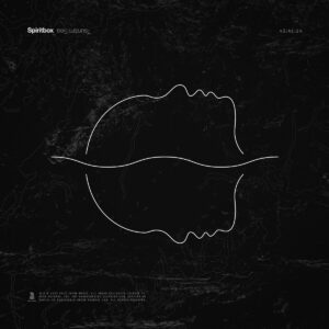 Tsunami Sea (LP)
