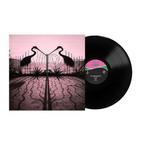 Soft Control (LP)