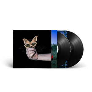 ALL SYSTEMS ARE LYING (2 LP)