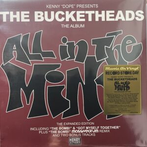 All in the Mind - Record Store Day 2026