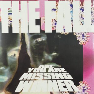 Are You Are Missing Winner - Record Store Day 2026