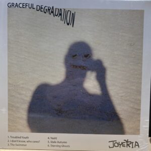 Graceful Degradation
