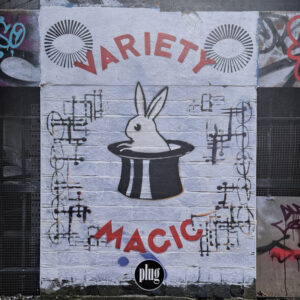 Variety Magic (Limited Edition Clear Vinyl)