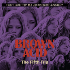 Brown Acid: The Fifth Trip (Heavy Rock From The Underground Comedown)