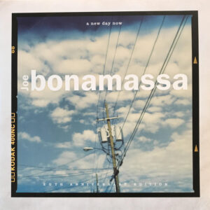 A New Day Now - 20th Anniversary Edition