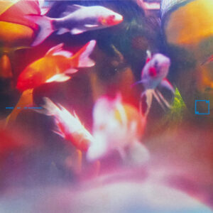 梦游 Sleepwalker