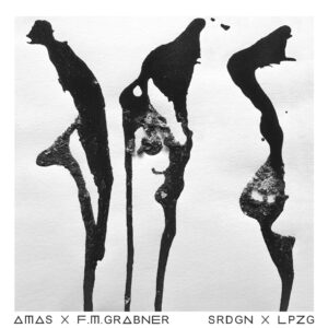 SRDGN X LPZG